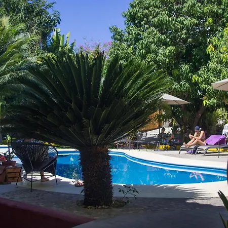 Casa Losodeli & Coworking- Adults Only-2